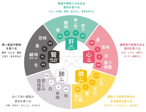 五行 皮膚|漢方の物差し「陰陽五行説」とは